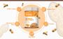 Shop Beanut's Honey Peanut Butter – Delicious, Healthy, and 