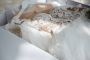 Professional Wedding Dress Dry Cleaning Service in Melbourne