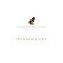Best Heavy Duty Barber Chairs for Professional Barbers