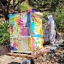 Professional and Safe Bee Hive Removal Services
