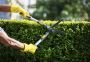 Bee Garden Landscape LLC | Lawn Care Service Bee Garden Landscape LLC | Lawn Care Service
