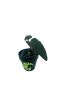 Wholesale Tropical Plants