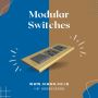Looking for Top-Quality Modular Switches?