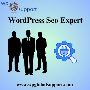 The Role of a WordPress SEO Expert in Digital Marketing