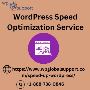 Get Free WordPress Speed Optimization Service