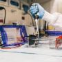 Comprehensive Laboratory Testing Services at Berries Health 