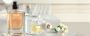 The Art of Choosing Seasonal Scents: Insights from Parush Kh