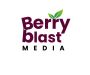 Berry Blast Media - Digital Marketing Agency in Mumbai | PPC