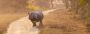 Adventure Tours India – Thrilling Experiences with Bespoke I