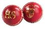 Logo-branded cricket ball merchandise