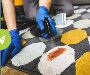 Expert Steam Cleaning Services in Melbourne