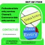 Professional Data Entry Services for Chennai | Best Infotech