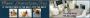 Best Services, Inc.