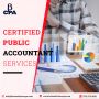 Professional Certified Public Accountants Tysons