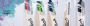 Get 10% Off All Cricket Bats at Beyond Boundary Sports USA