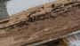 Termite Inspections and Extermination in Fresno, TX
