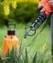 Integrated Pest Management Services Available in Fresno, TX