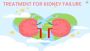 Different Treatments for Kidney Failure Aside from Dialysis