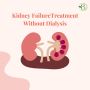 Kidney Failure Treatment Without Dialysis: Exploring Alterna