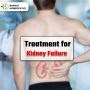 Chronic Kidney Disease Treatment: Guide To Natural Medicatio