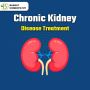 Effective & Natural Kidney Problem Medication: A Comprehensi