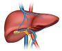 Liver Hospital in Delhi | Fortis Healthcare
