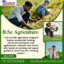 What are the career options available for a bioinformatics e