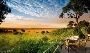 Discover the Wild with Our Exclusive Safaris in Mombasa