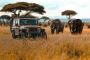 Best Tsavo East Safari Packages Pricer – Bigzone Safaris