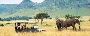 Affordable Tsavo East Safari Packages – Call Now! Affordable Tsavo East Safari Packages – Call Now!