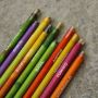 Eco-Friendly Gifting with Plantable Seed Pencil