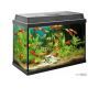Online Aquarium Delivery