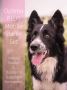 Are You Looking For Top Vet Bicom Services