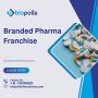 Benefits of Investing in a Branded Pharma Franchise