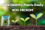 Experience the Power of MICROM: Unbeatable Offers Await!