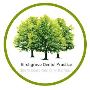 Birchgrove Dental Practice
