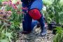 Buy Reusable Knee Pads for Home and Garden