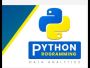 What are the Prerequisites for Enrolling in a Python Course?