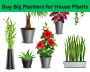 Buy Big Planters for House Plants - Shop Now