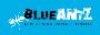 Kolkata's Leading Online Marketing Company
