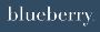 Blueberry Builders Blueberry Builders