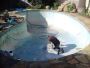 Maintain Your Backyard Easily With Pool Renovations Services
