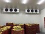Banana Ripening Chamber Project Cost Banana Ripening Chamber Project Cost