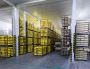 Cold storage manufacturer in Gujarat - Blue Ice India