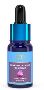 Revitalize Your Skin with Blue Nector Kumkumadi Tailam