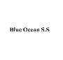 Blue Ocean Strategy & Service