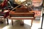 Altenberg 7' 0" Semi-Concert Grand Piano - B Natural Pianos