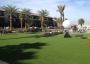 Backyard putting greens La Quinta
