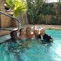 Adult Swimming Classes – Learn to Swim!