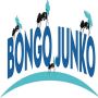 Bongo Junko - Junk Removal Conroe Bongo Junko - Junk Removal Conroe